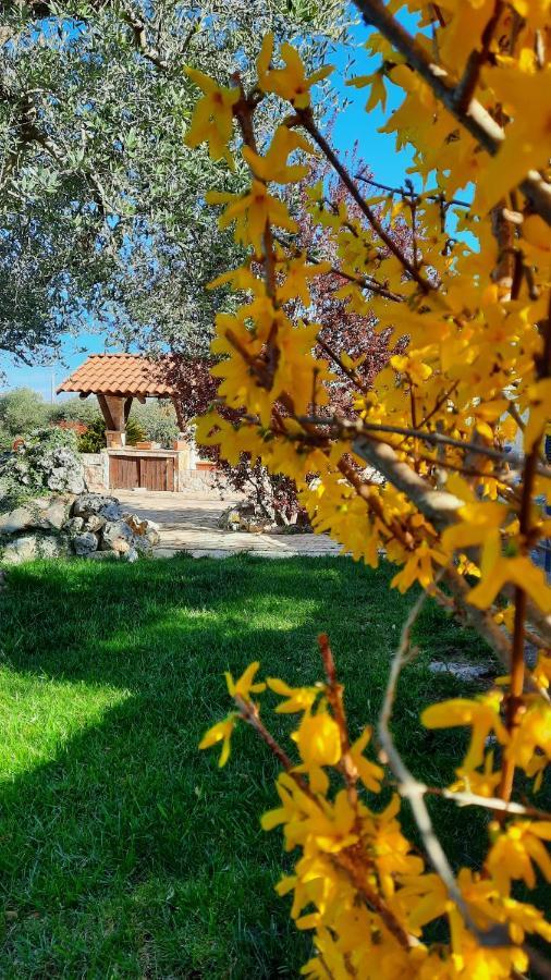 La Rosa Dei Trulli B&B Alberobello Zewnętrze zdjęcie