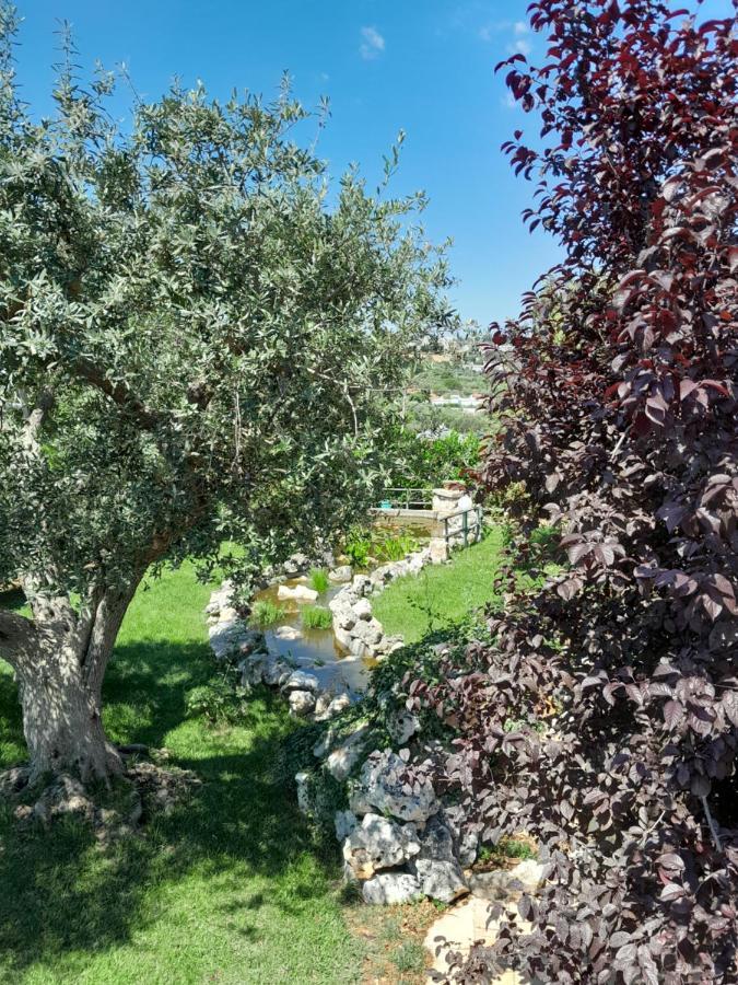 La Rosa Dei Trulli B&B Alberobello Zewnętrze zdjęcie