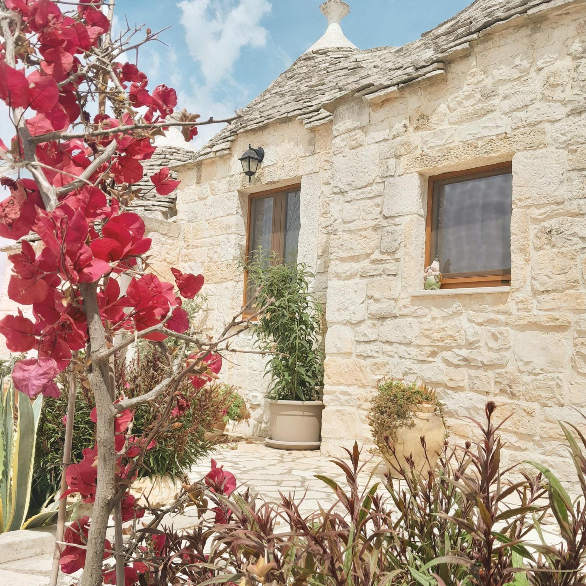 La Rosa Dei Trulli B&B Alberobello Zewnętrze zdjęcie