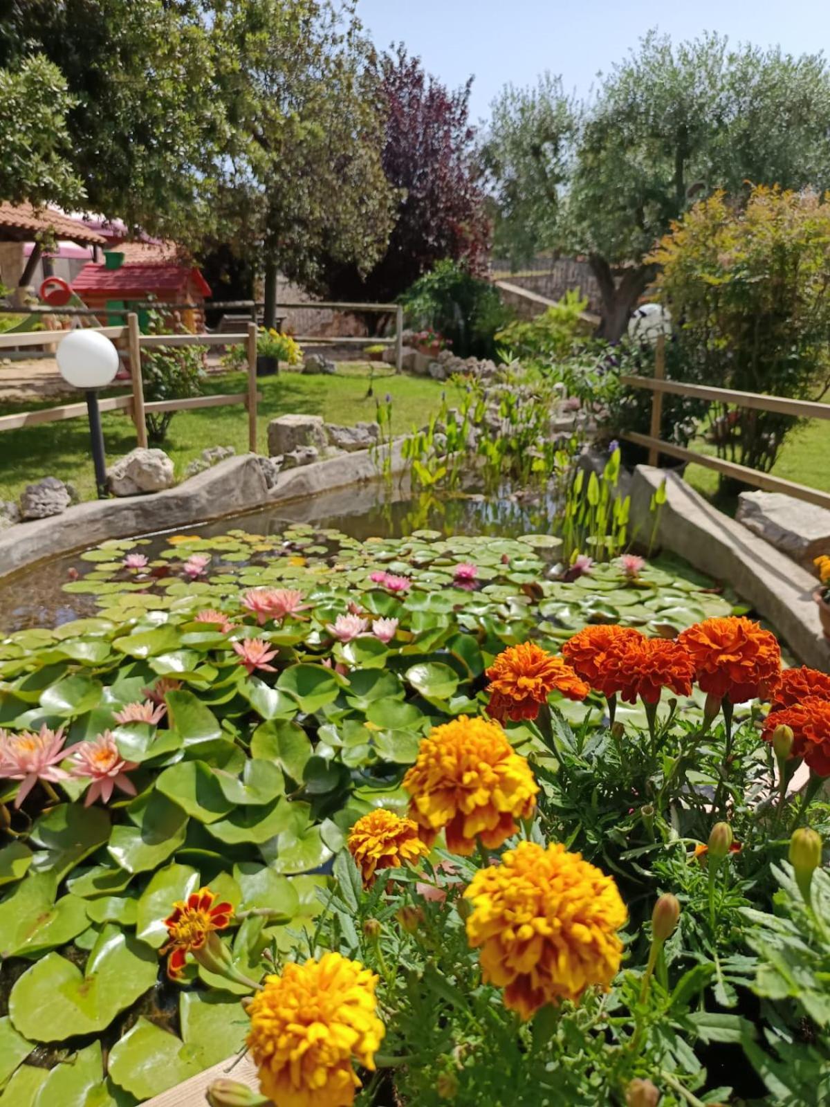 La Rosa Dei Trulli B&B Alberobello Zewnętrze zdjęcie