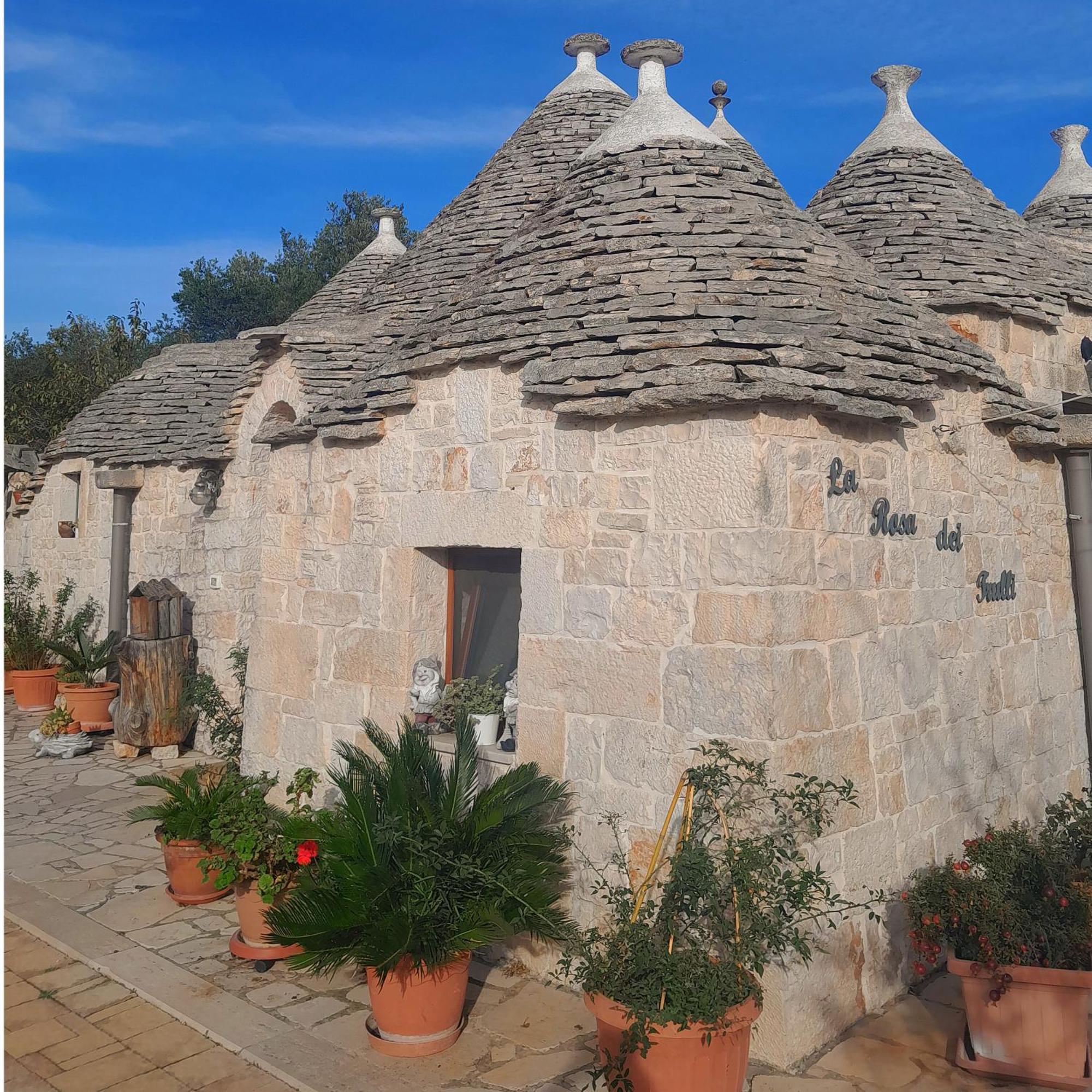 La Rosa Dei Trulli B&B Alberobello Pokój zdjęcie