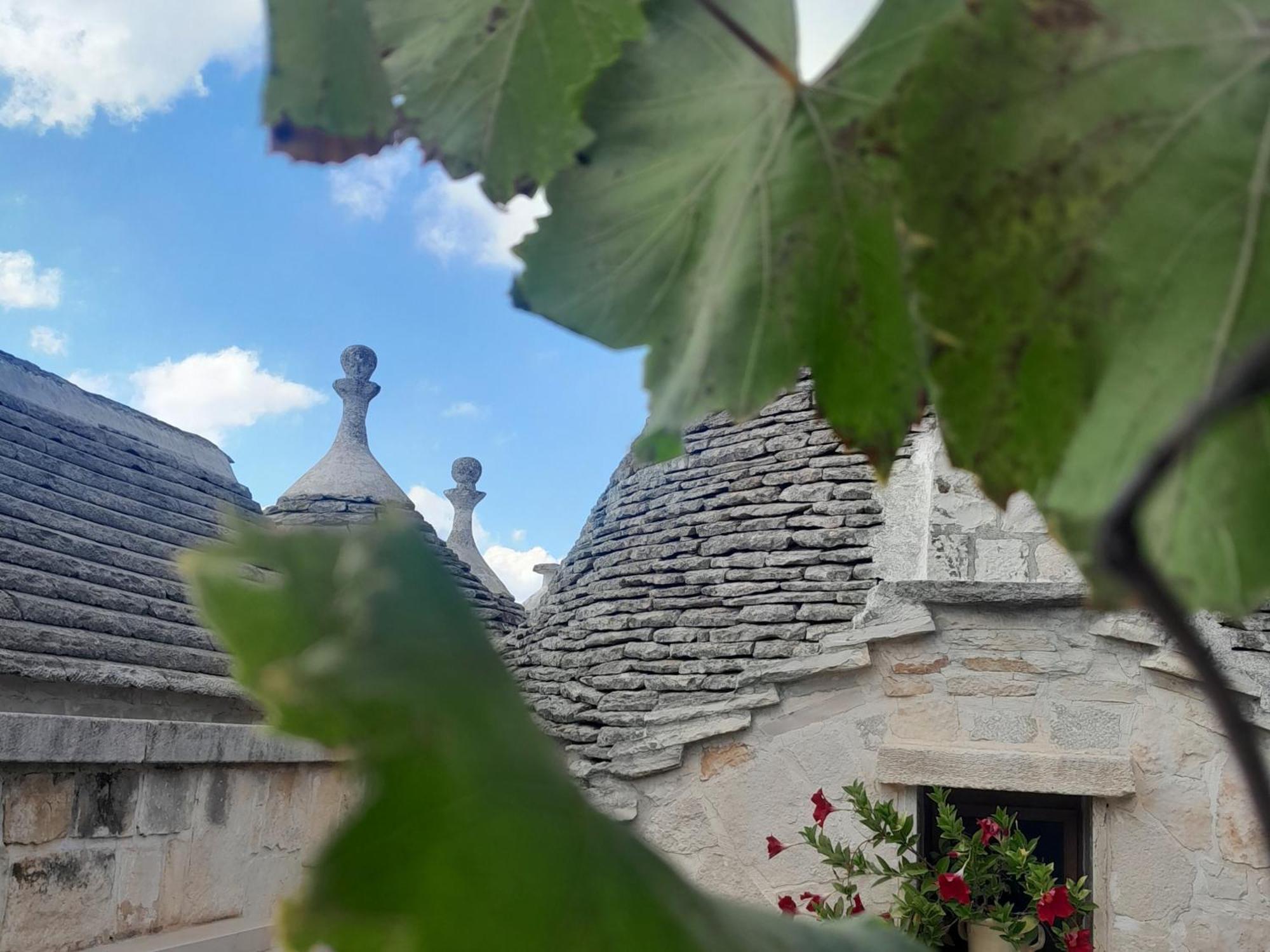 La Rosa Dei Trulli B&B Alberobello Zewnętrze zdjęcie