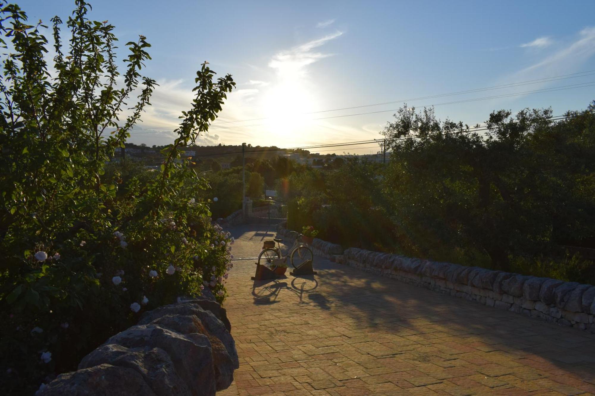La Rosa Dei Trulli B&B Alberobello Zewnętrze zdjęcie