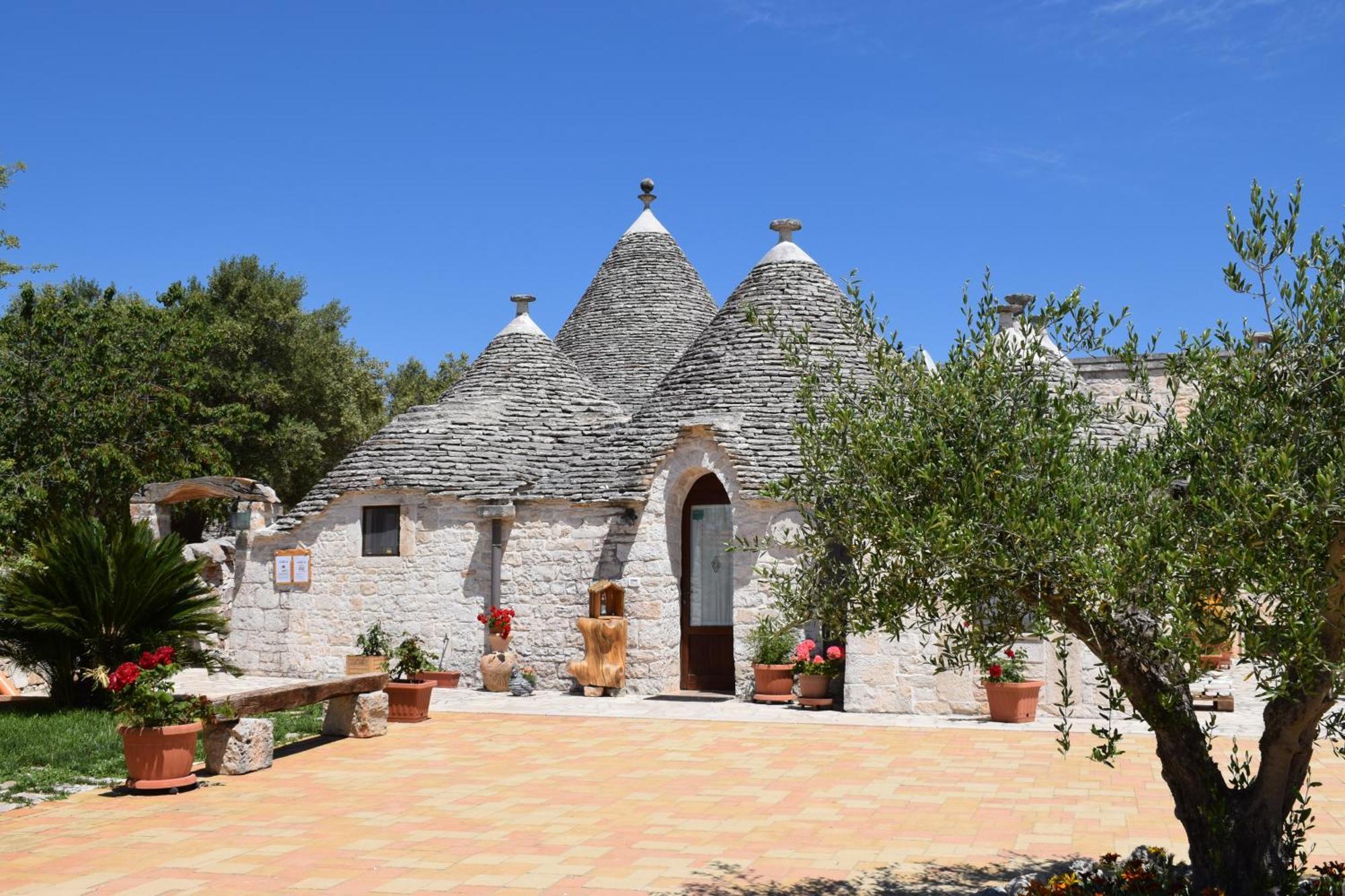La Rosa Dei Trulli B&B Alberobello Zewnętrze zdjęcie