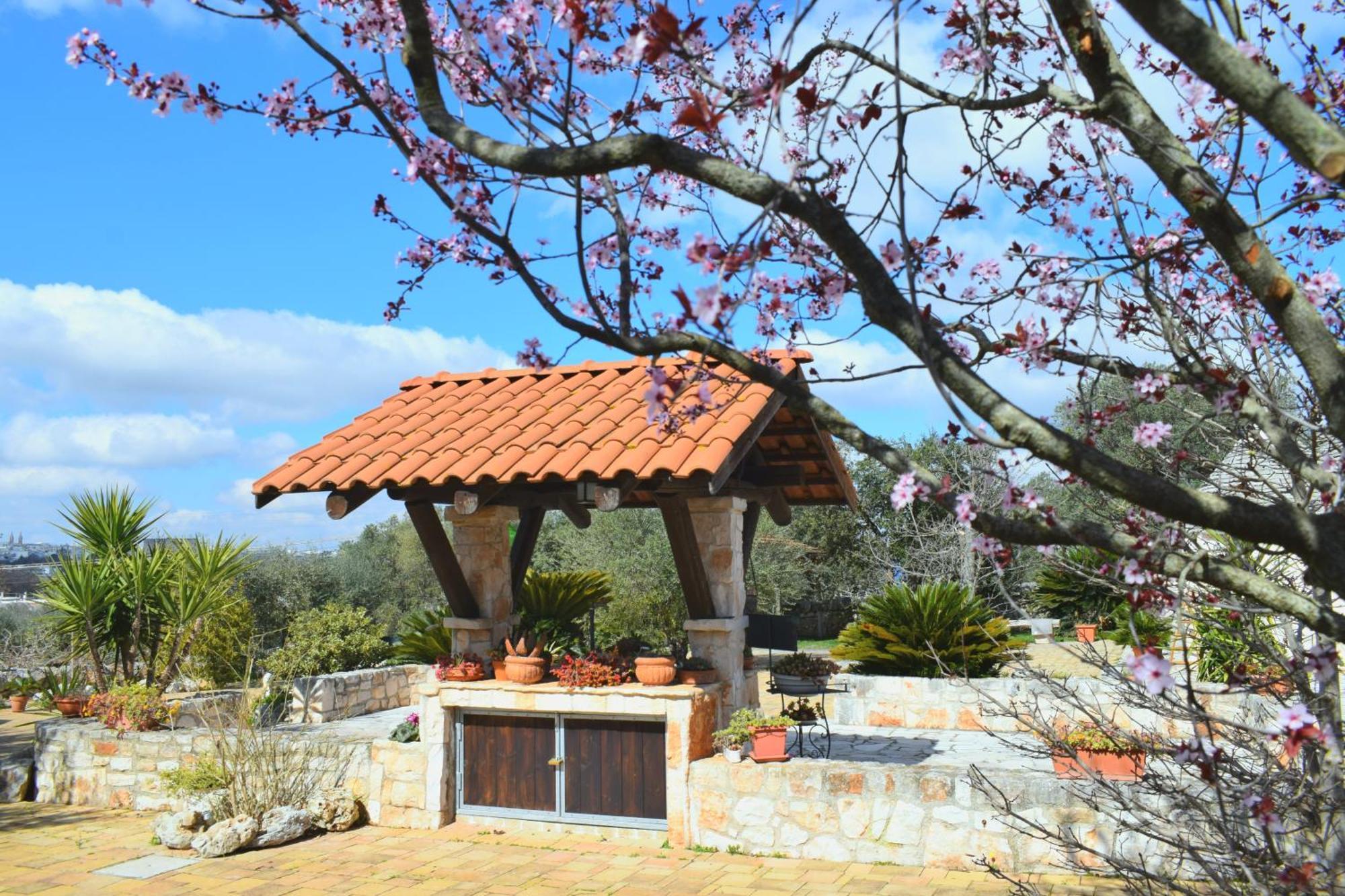 La Rosa Dei Trulli B&B Alberobello Zewnętrze zdjęcie
